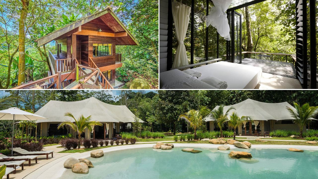 need to run away from people for a while? these staycay eco retreats should do the trick