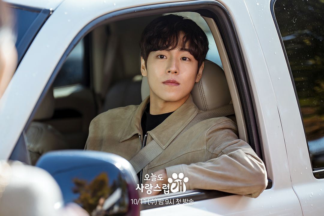 📺韩剧《犬系恋人》正在热播中❗车银优朴圭瑛李玹雨领衔主演🌟