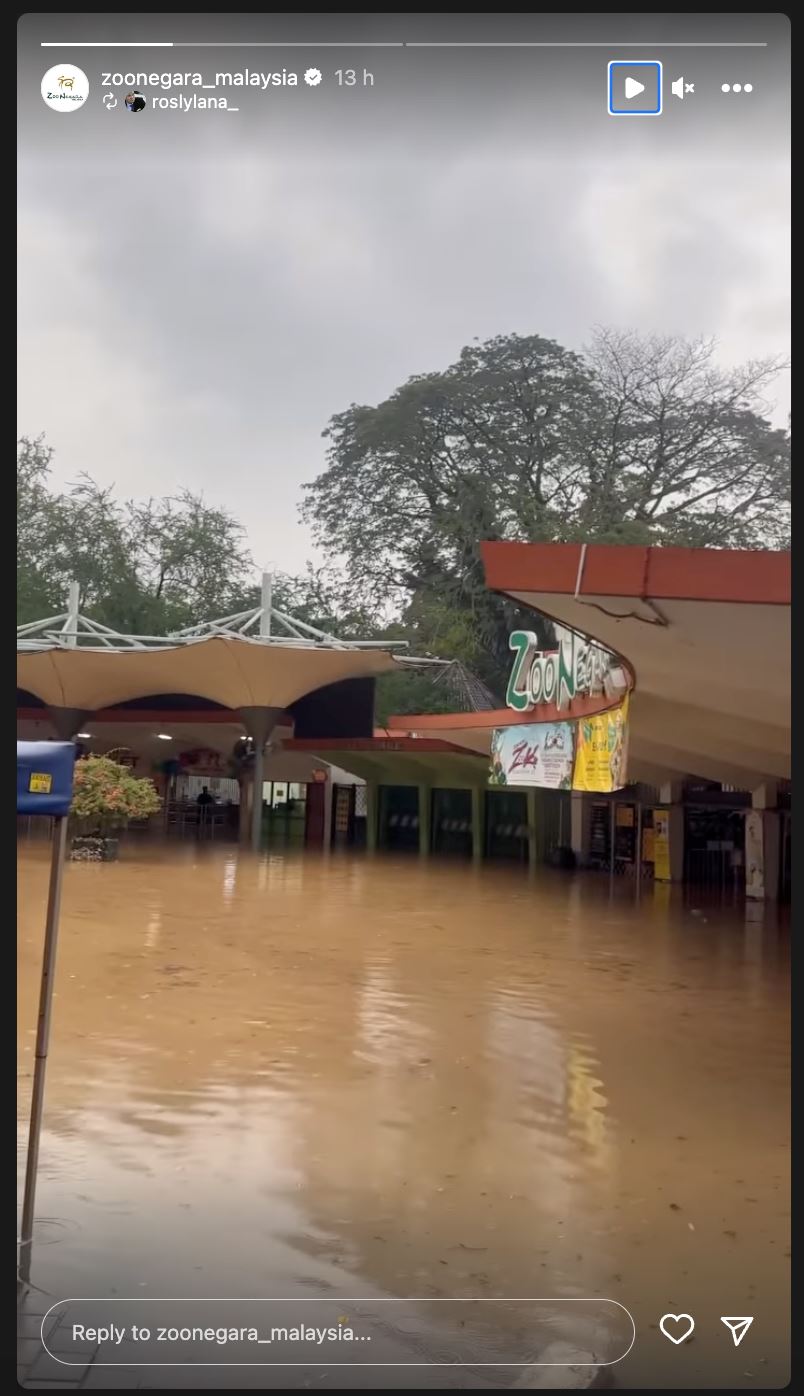 zoo negara dilanda banjir kilat, capybara terlepas keluar