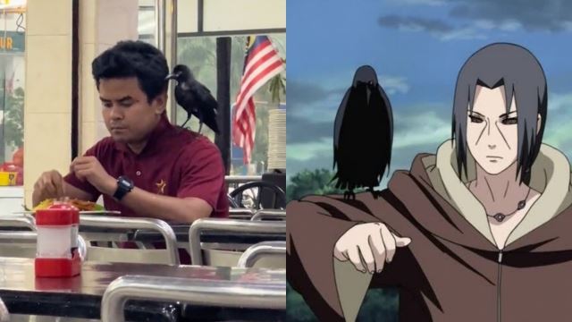 malaysian-itachi-640.jpg