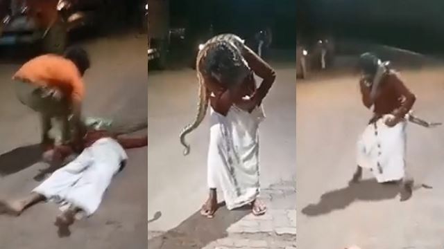 sibuk ‘selfie’, lelaki cemas kena belit ular sawa