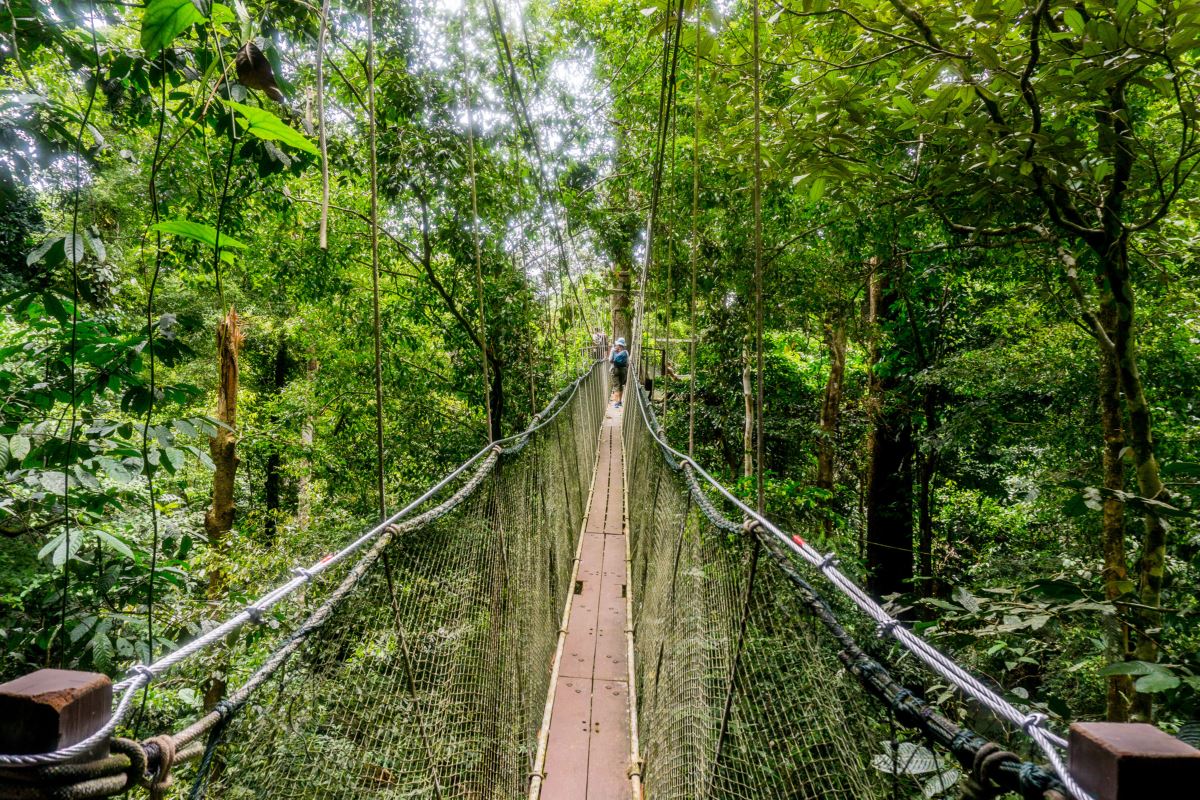 Mulu National Park