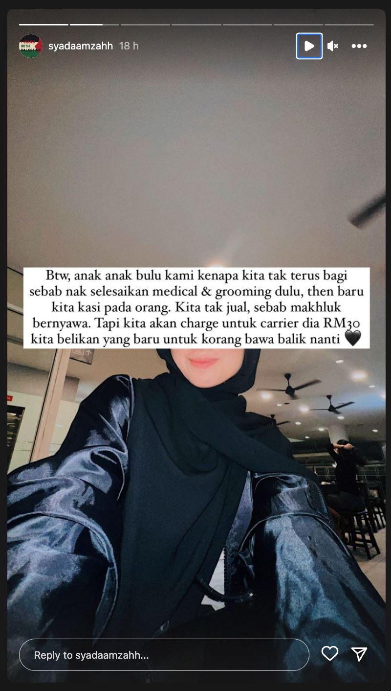 syada amzah buka tawaran sesiapa minat nak bela kucing miliknya