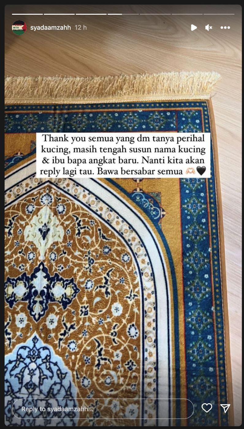 syada amzah buka tawaran sesiapa minat nak bela kucing miliknya