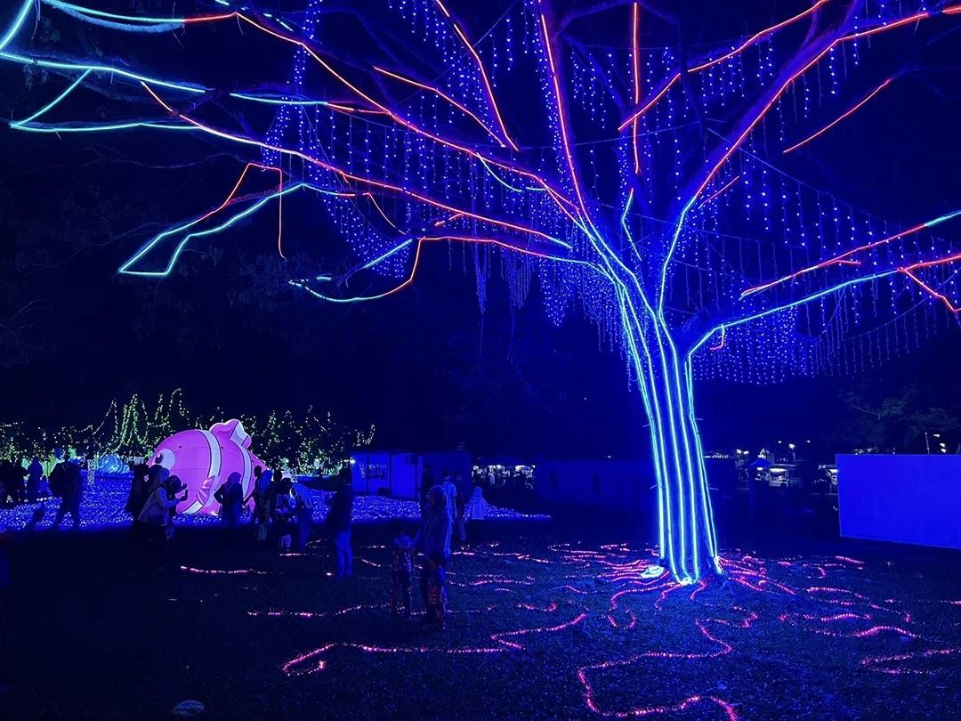 luna light wonderland巡回展❗全马最大的led灯光秀🔥