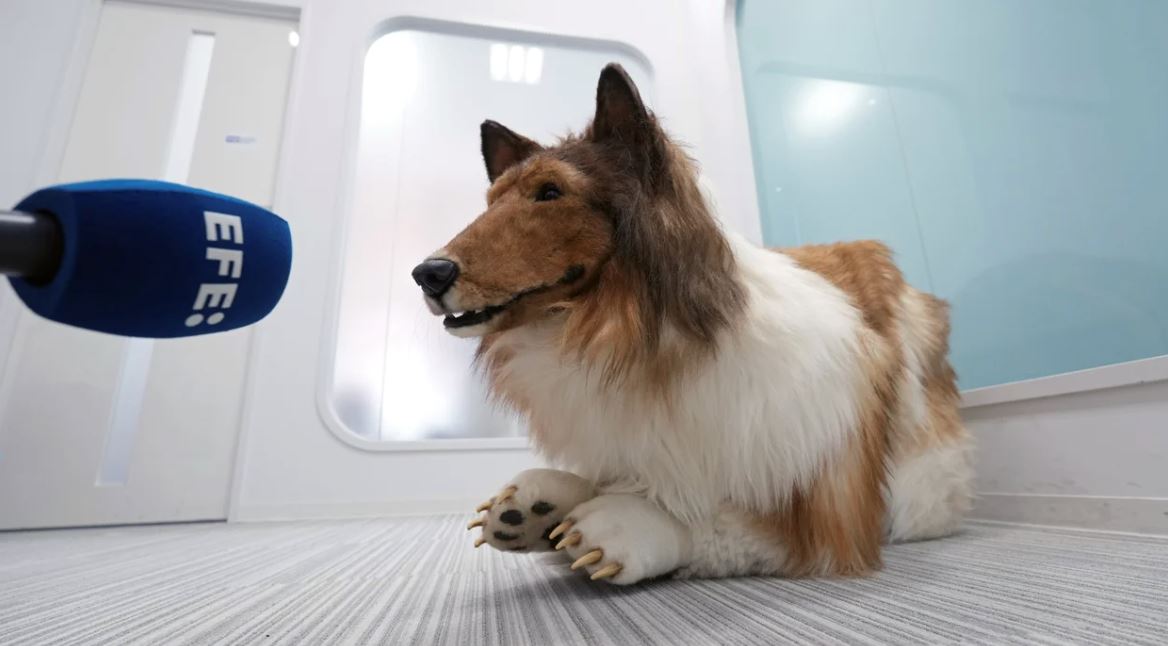 ‘manusia anjing’ kata ramai orang ada impian nak jadi binatang sepertinya