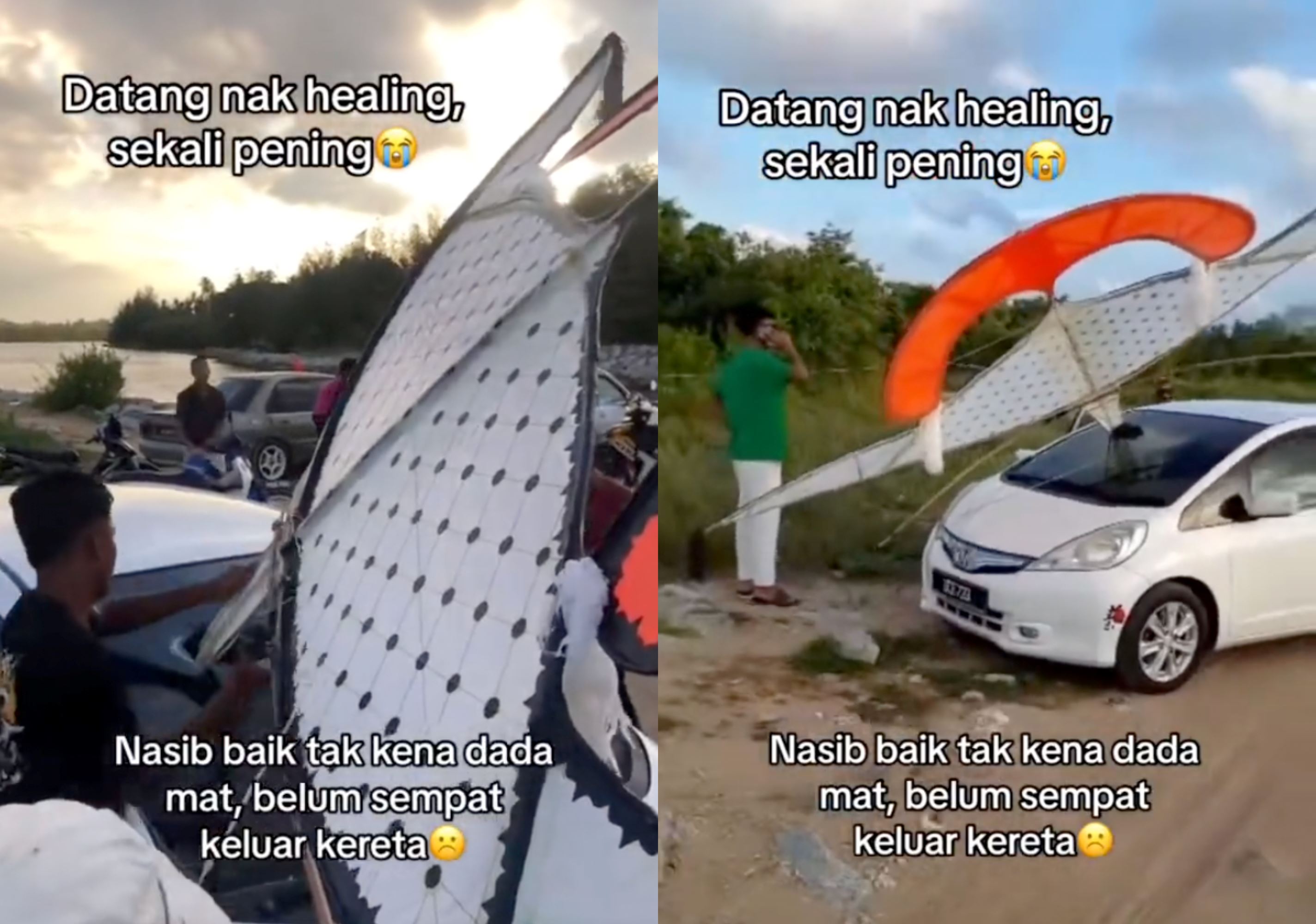 was just healing wau suddenly falls from the sky and pierces car's windshield, causing panic