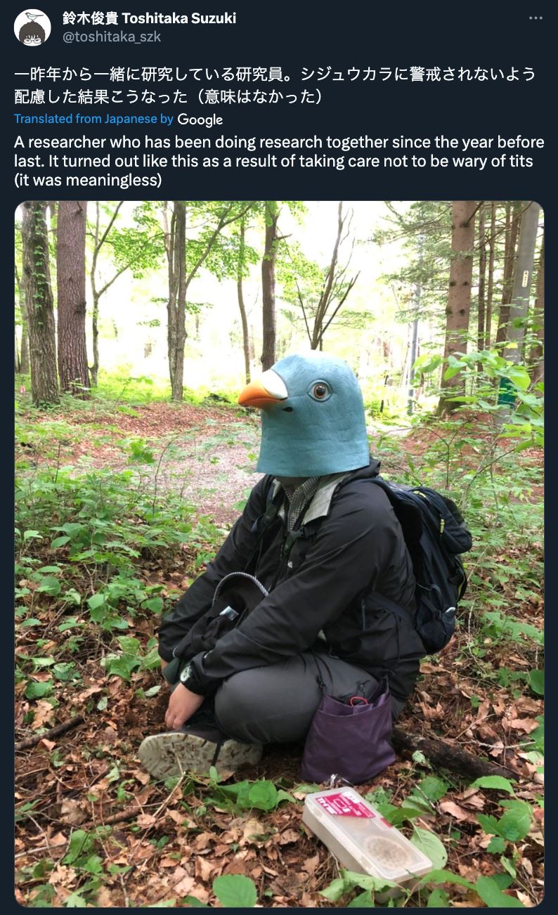 setahun saintis ini pakai topi kepala burung untuk berkawan dengan burung