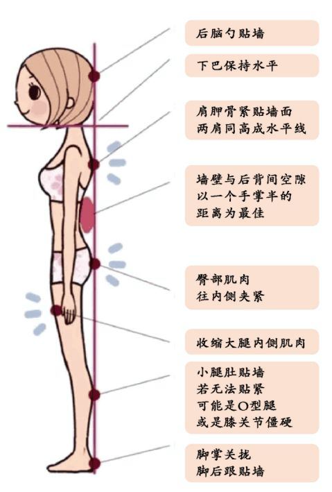 盘点5个“靠墙站”的好处！每天只需10分钟！