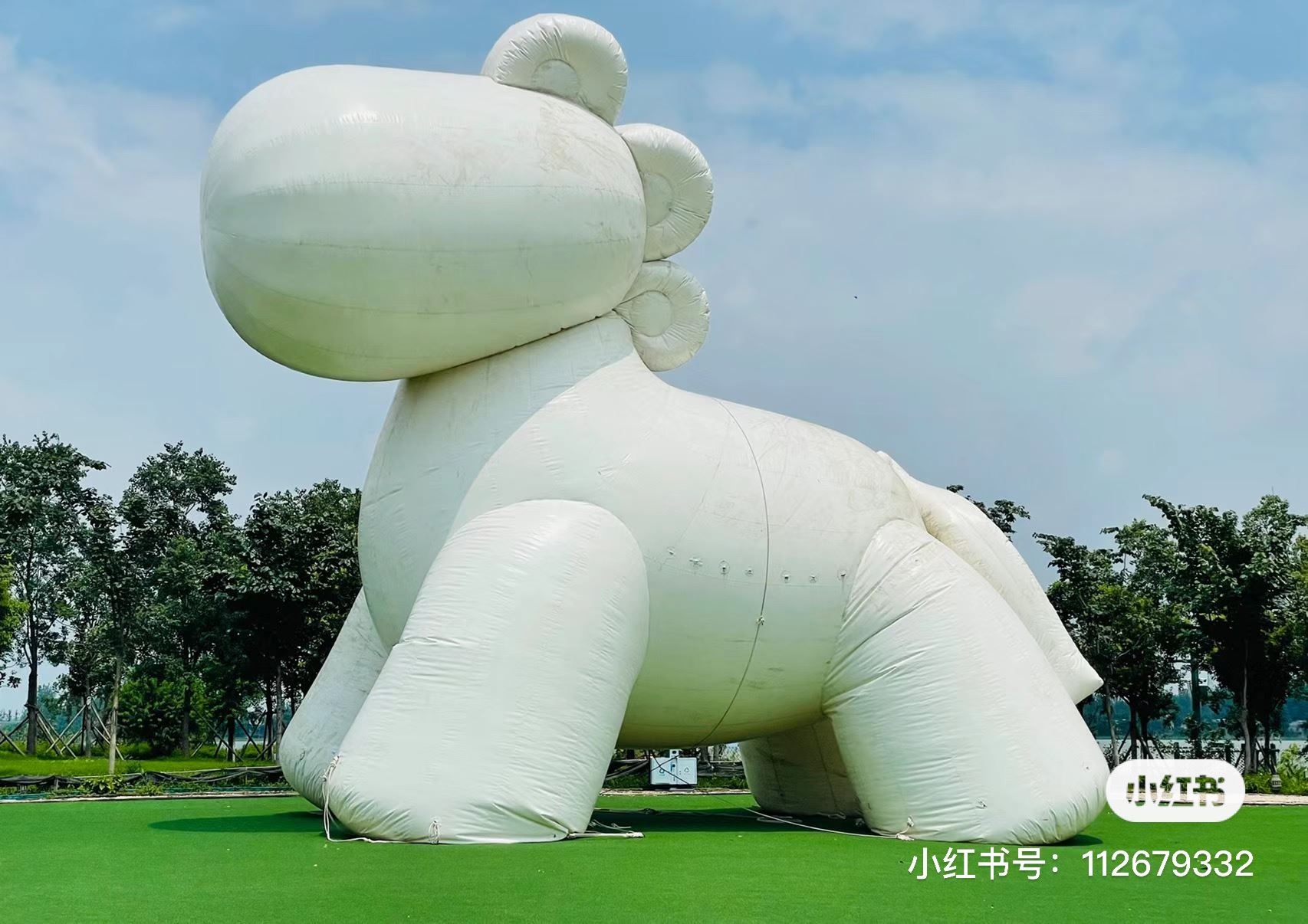🐱全是喵星人的肥猫岛❗在这里可以实现撸猫自由😍