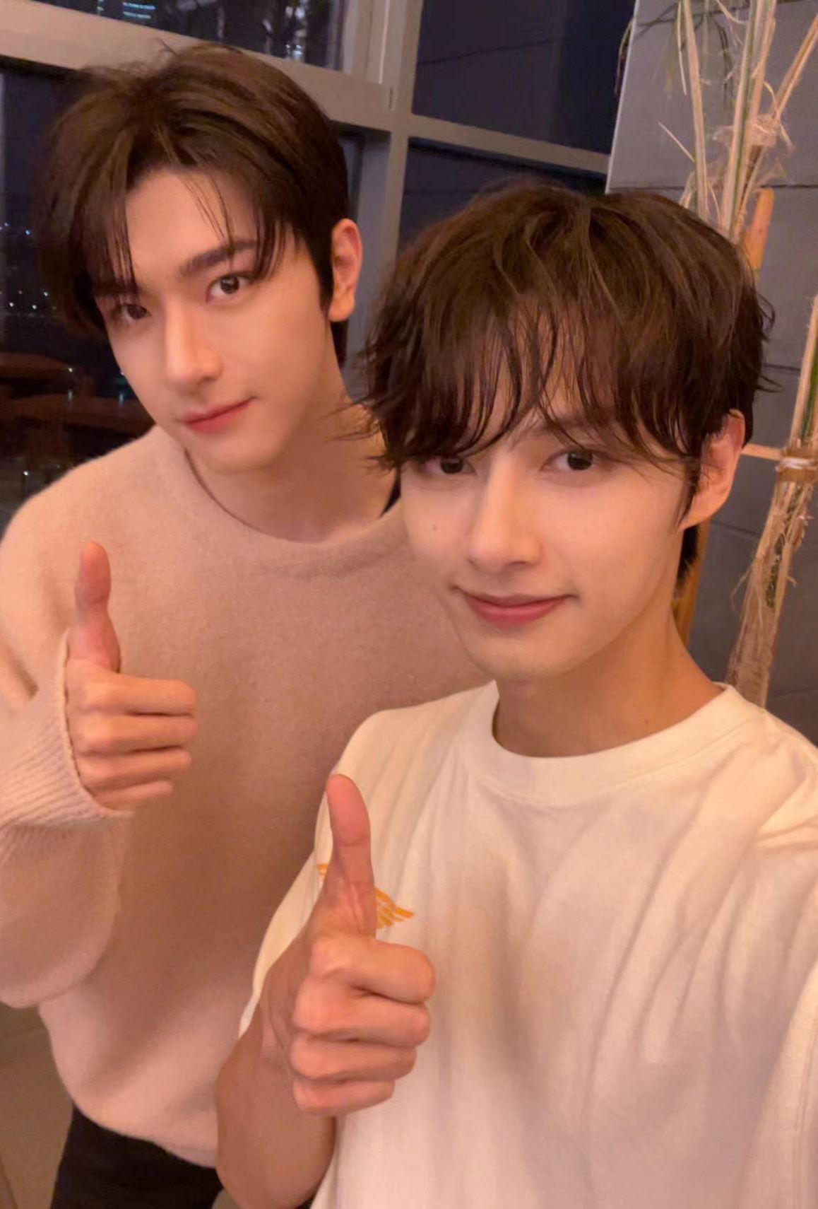 林一与seventeen成员文俊辉同框合影❗俩人一起大跳抖音神曲《我姓石》🔥