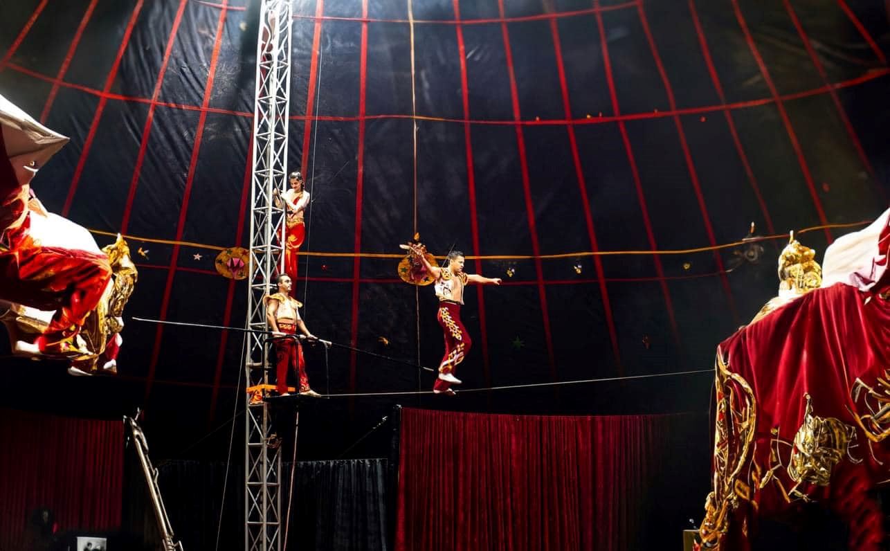 🤡pacific circus太平洋杂技团来啦❗就在bukit jalil national stadium🔥