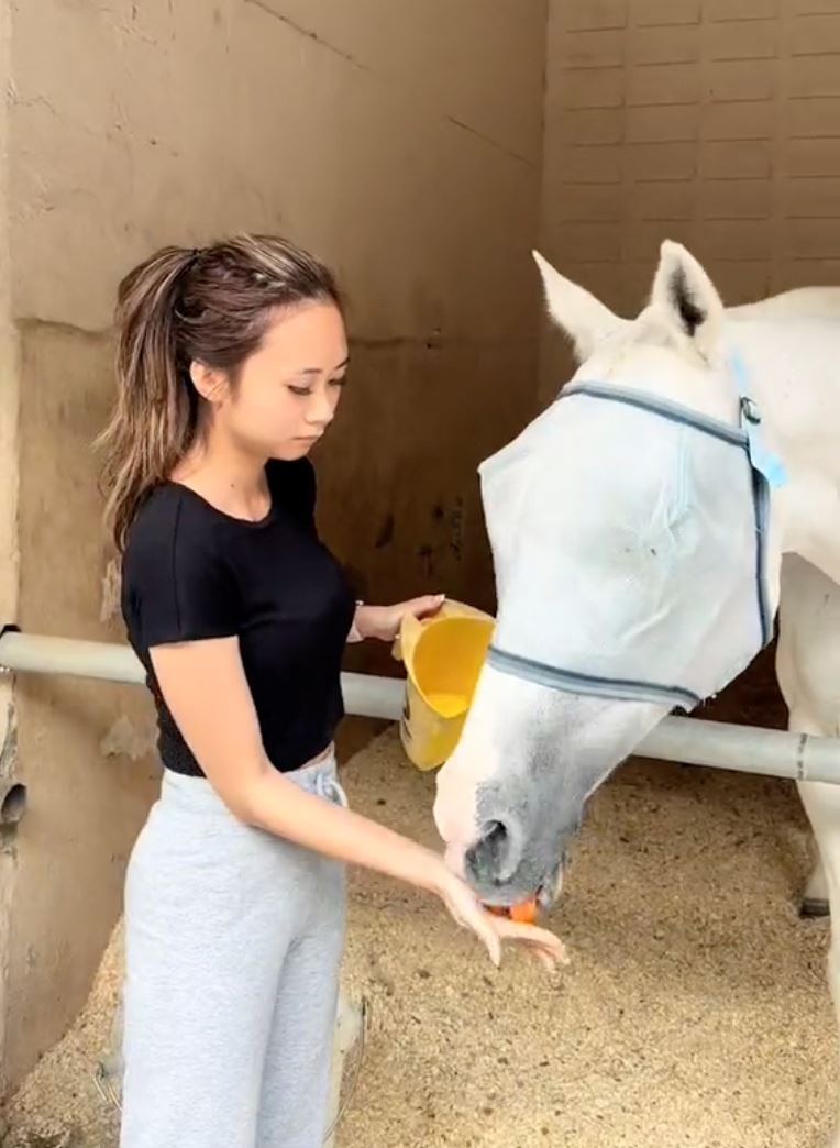 video intan najuwa bagi makan kuda, netizen tanya kenapa tutup mata?