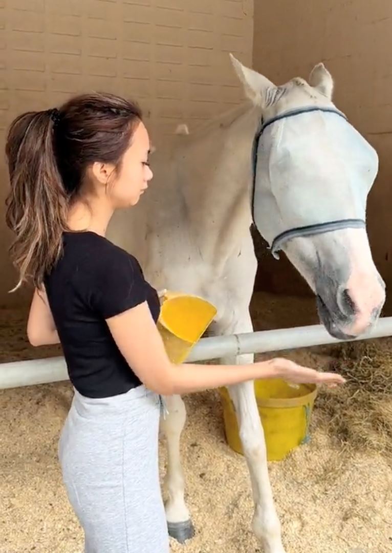 video intan najuwa bagi makan kuda, netizen tanya kenapa tutup mata?