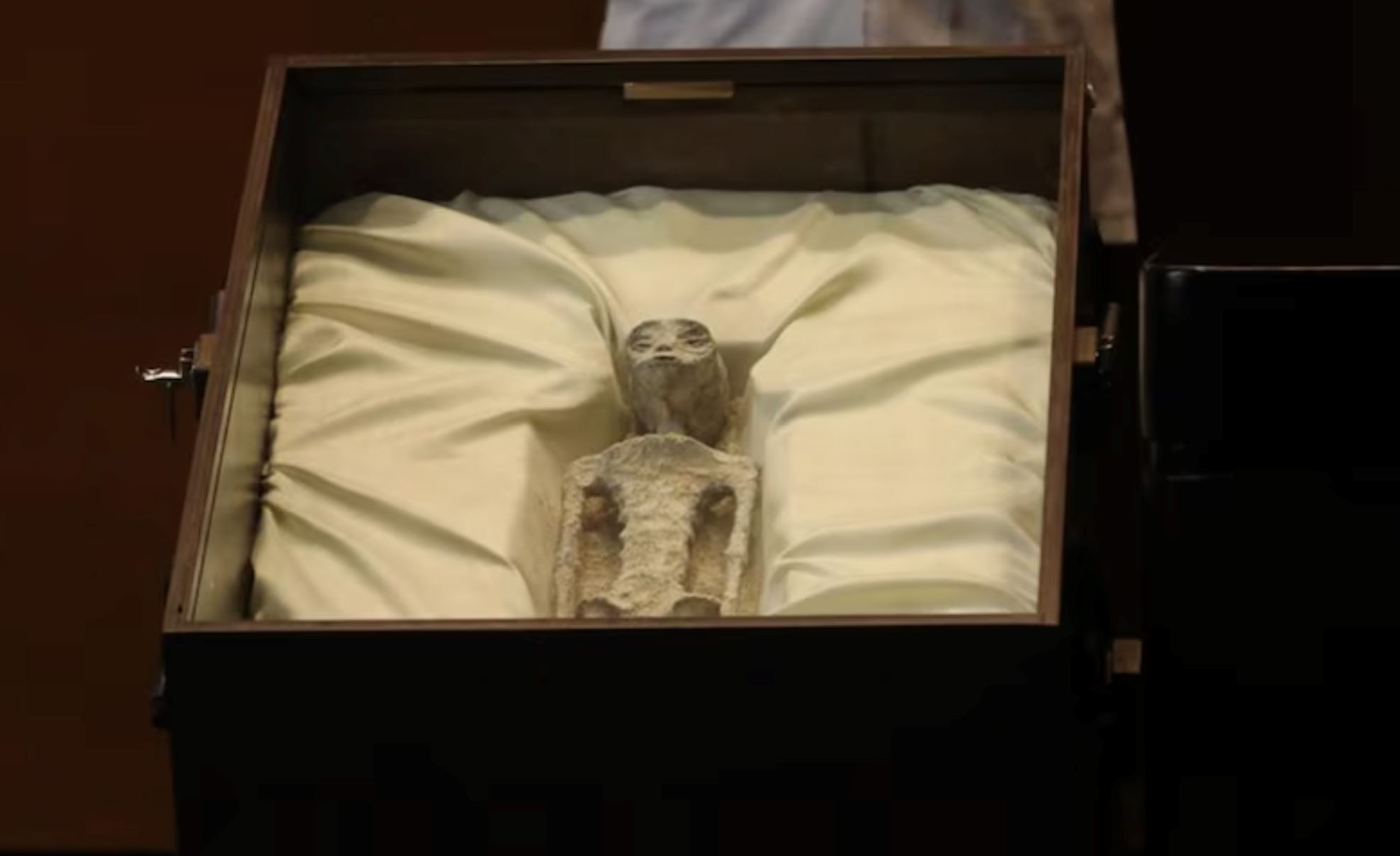 dua ‘mayat’ makhluk asing pertama kali dipamerkan pada umum