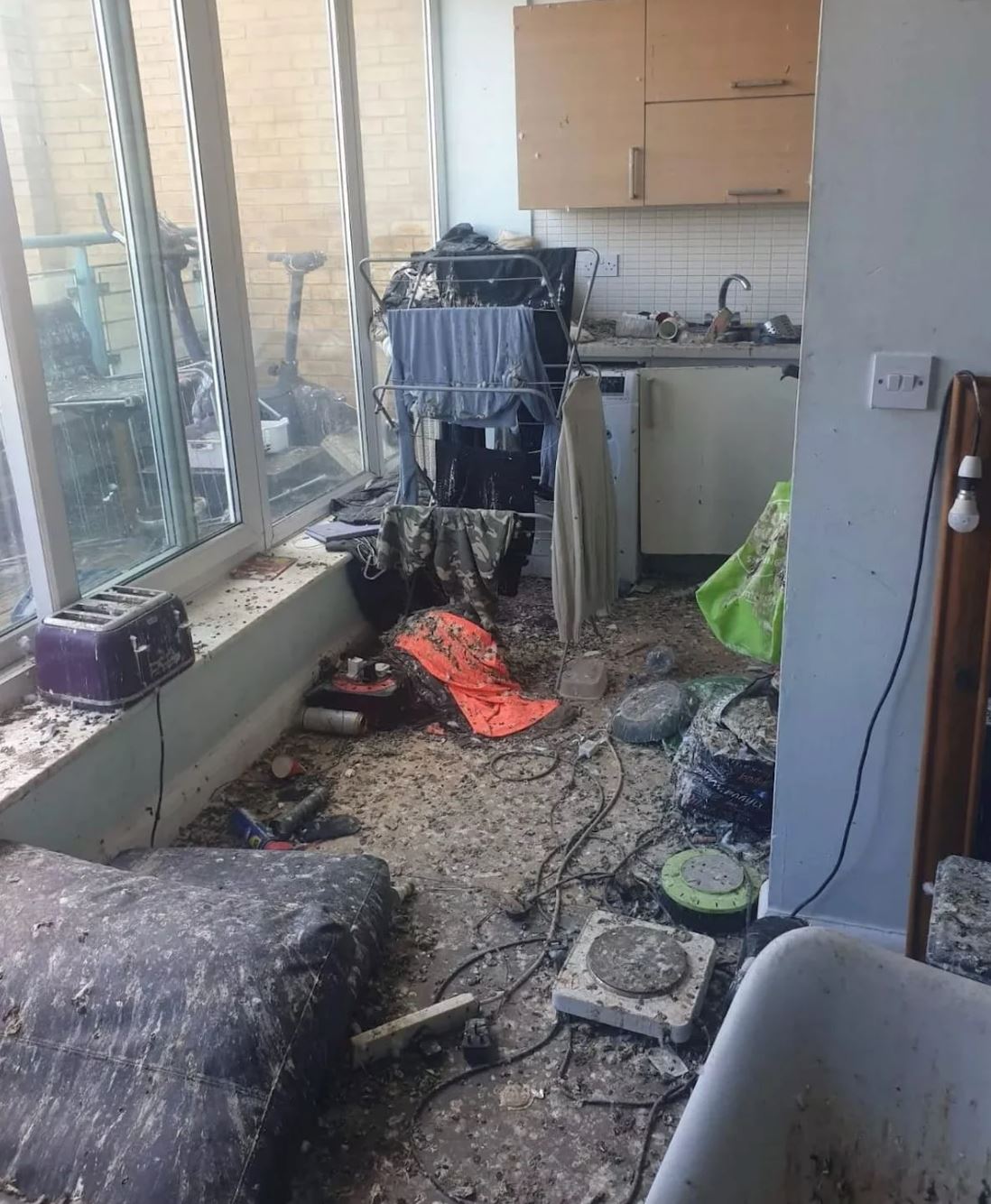 gara-gara lupa tutup tingkap, merpati buat ‘kenduri’ dalam rumah!