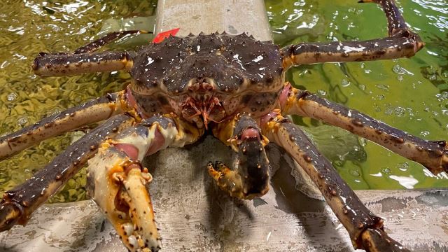 pengembaraan mesra muslim ke taiwan: menikmati keindahan dan budaya