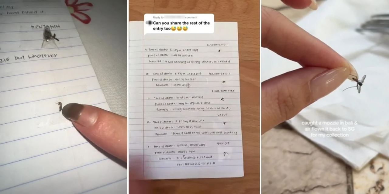 wanita tulis tiap ekor nyamuk yang dia pernah bunuh dalam buku jurnal