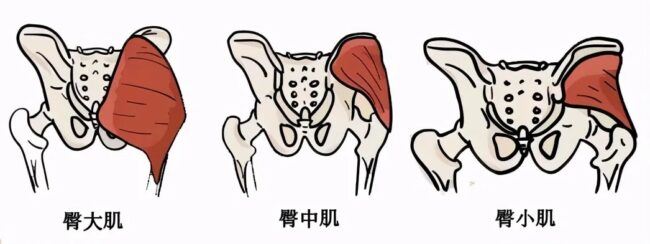 女子久坐10小时「屁股死了」！医师揭真相！