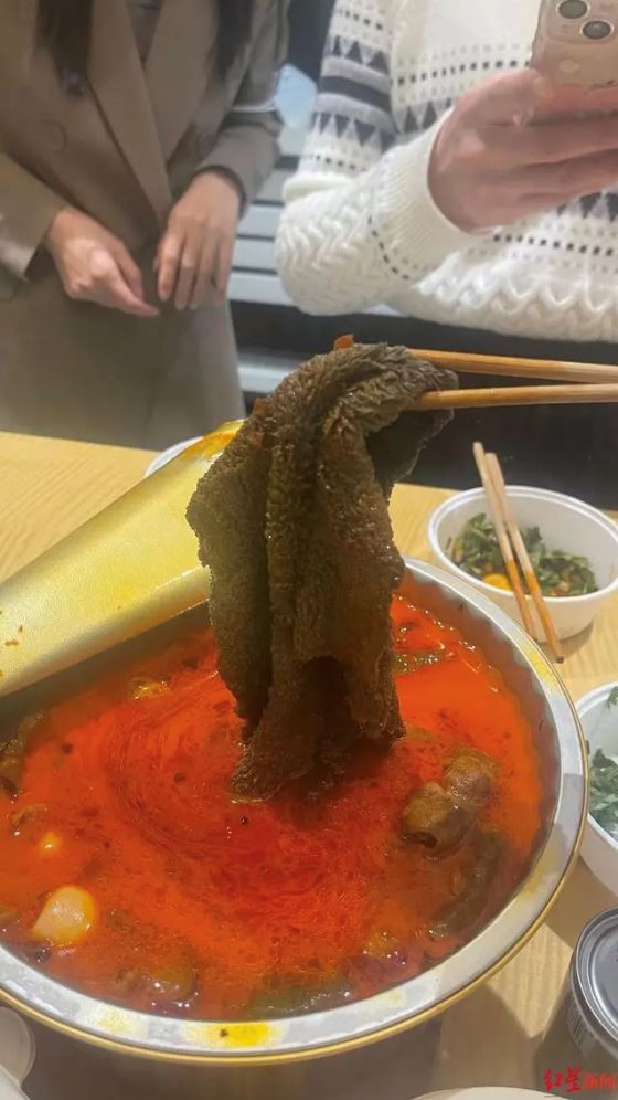 lelaki ingatkan perut lembu dalam sup, rupanya kain buruk dari dapur