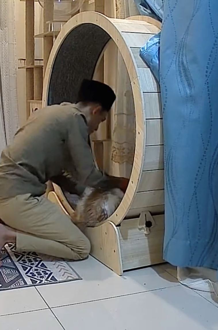 akibat dendam pada tuan, kucing kesayangan pula jadi mangsa sihir [video]