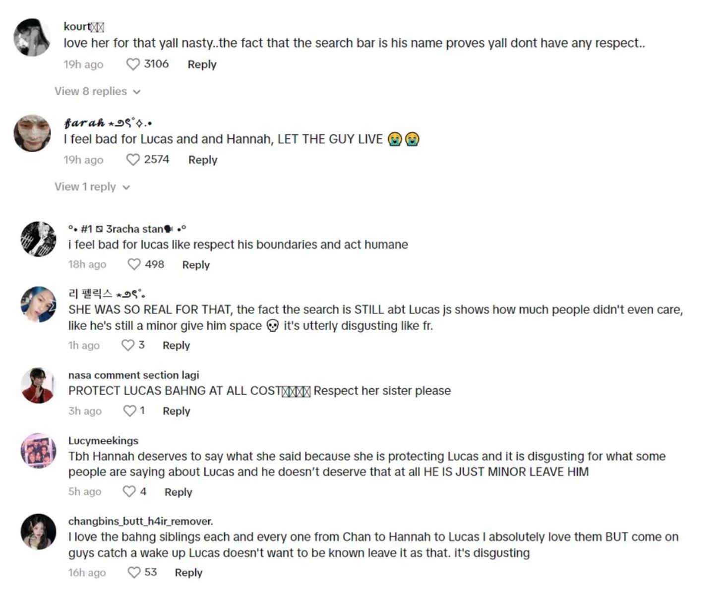 please stop! hannah bahng calls out fan for disgusting comments about her little brother