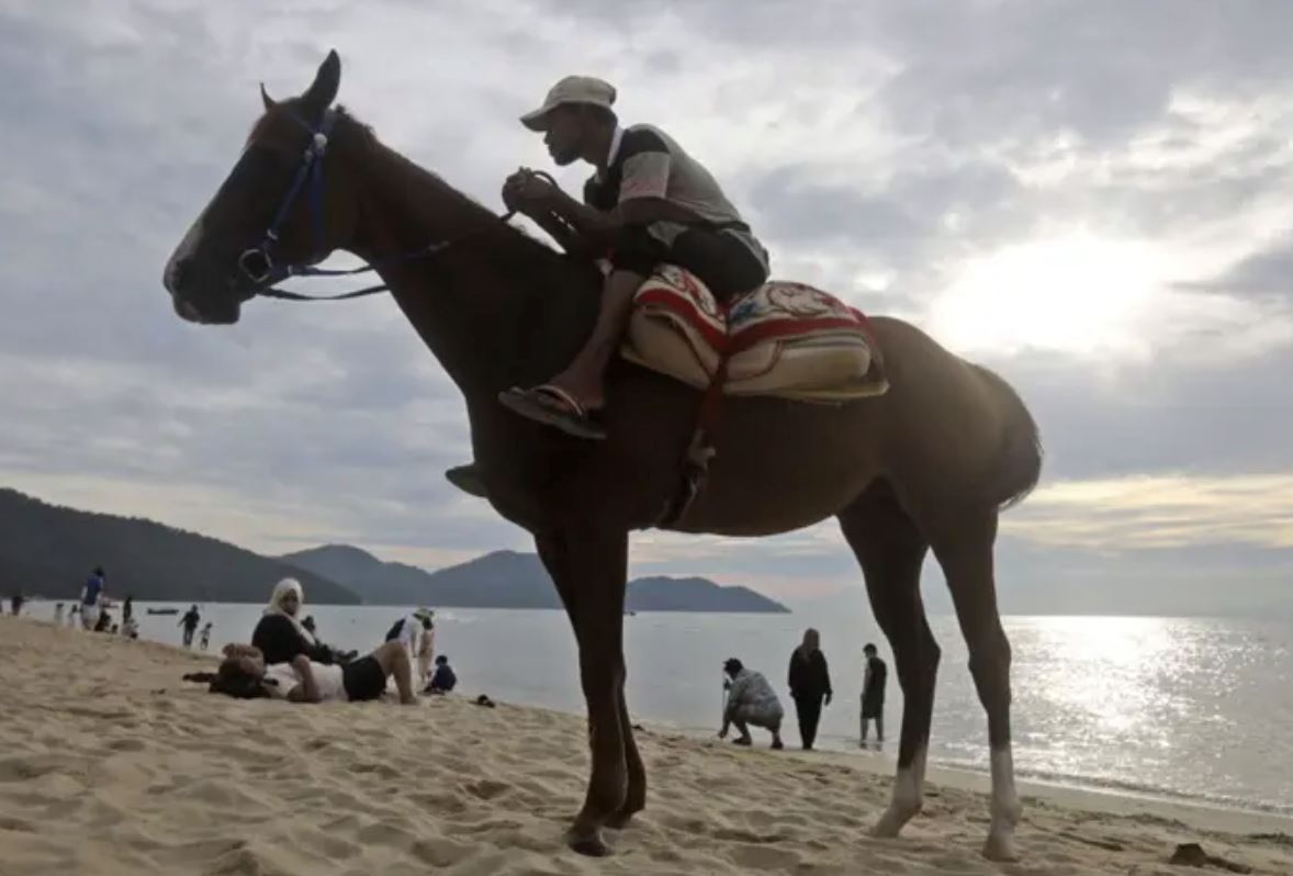 horseback riding to be banned at batu ferringhi beach starting september 1st