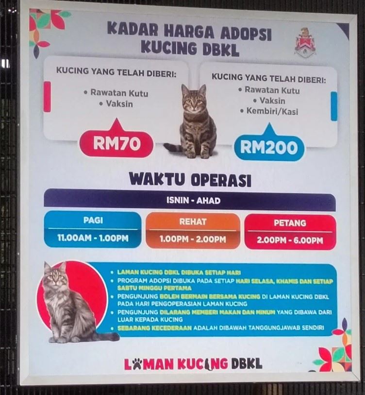 🇲🇾吉隆坡首座猫咪公园🐱可来领养小猫⚡️