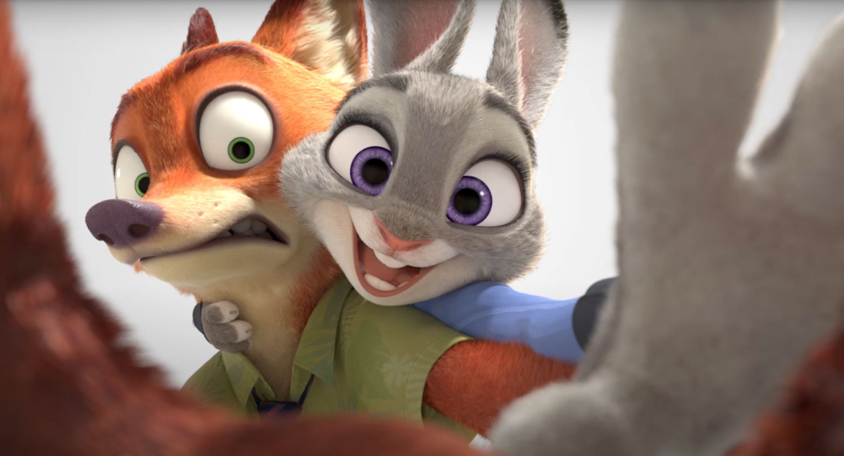 🎬《疯狂动物城2》2025年上映❗朱迪、阿力迎新挑战🔥