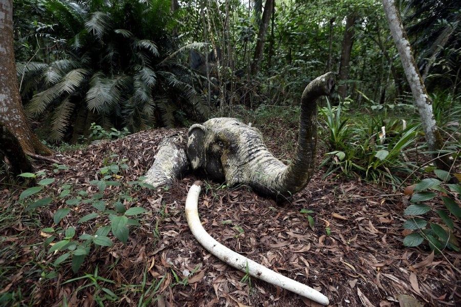 🇲🇾盘点大马5大猛鬼屋👻有一间还拿来拍过电影🎬