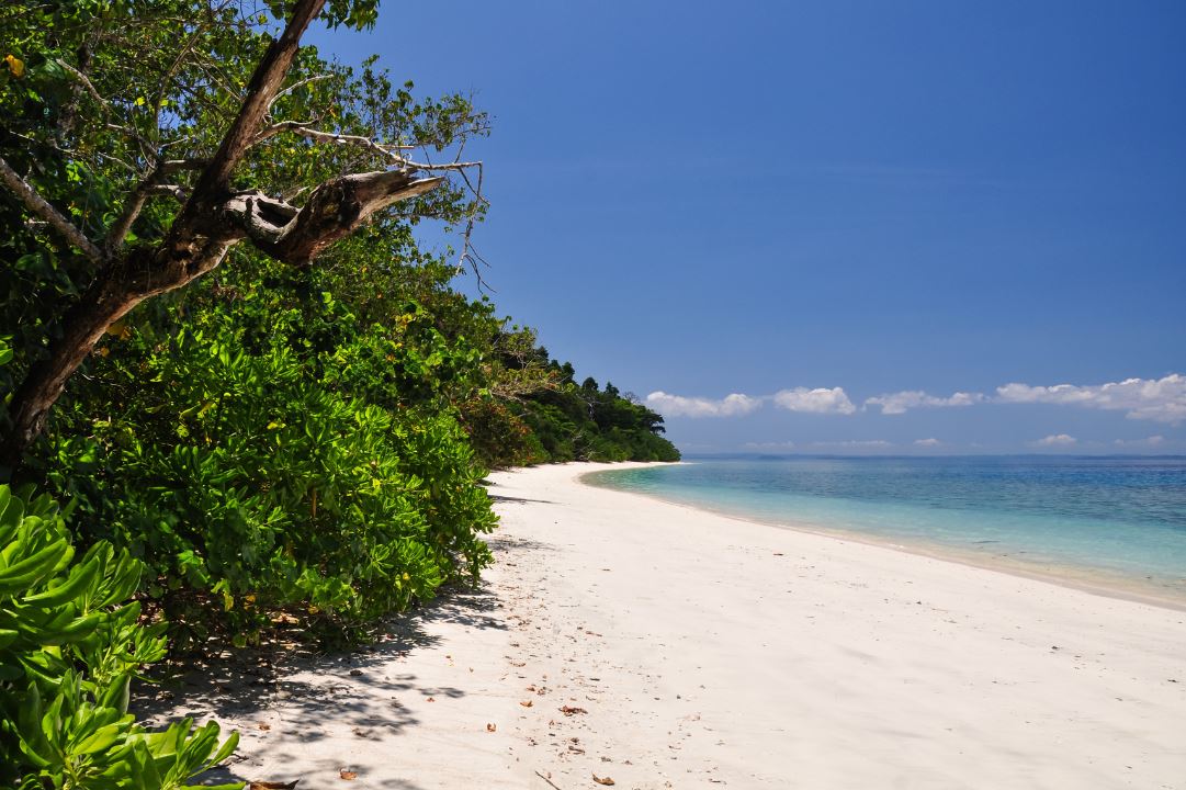 Elephant Beach on Havelock island of a clear, sunny day