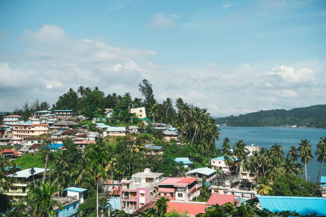 View of Port Blair and houses from high ground