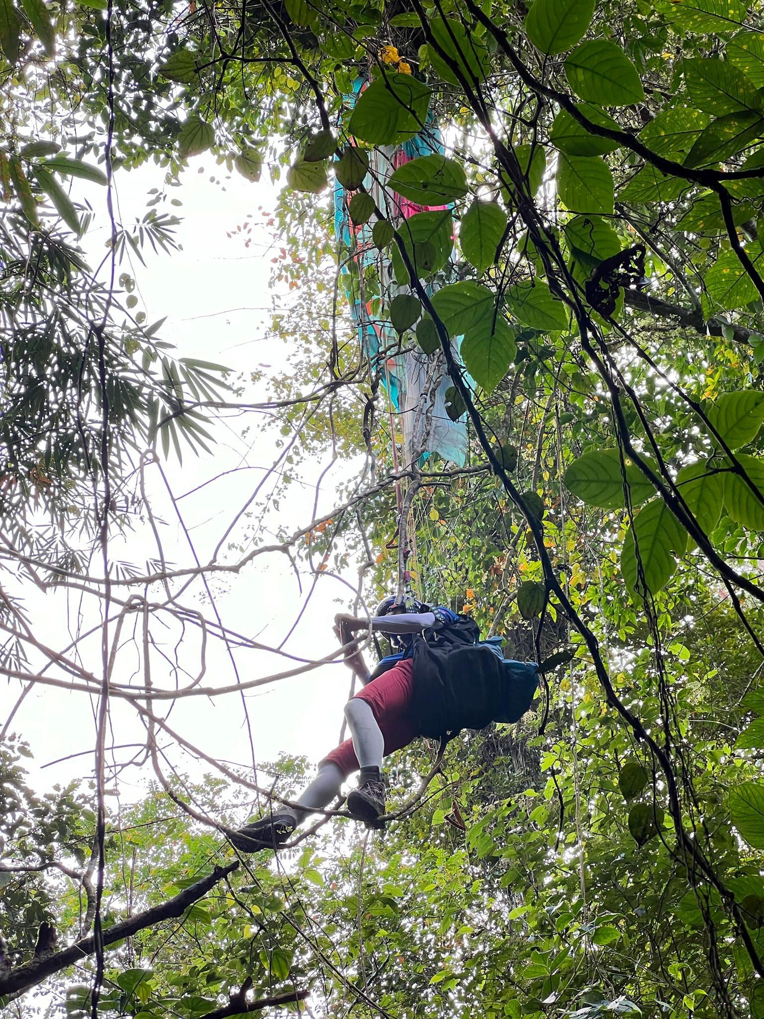m’sians thank abang bomba for their swift response in saving korean paraglider stuck in tree!