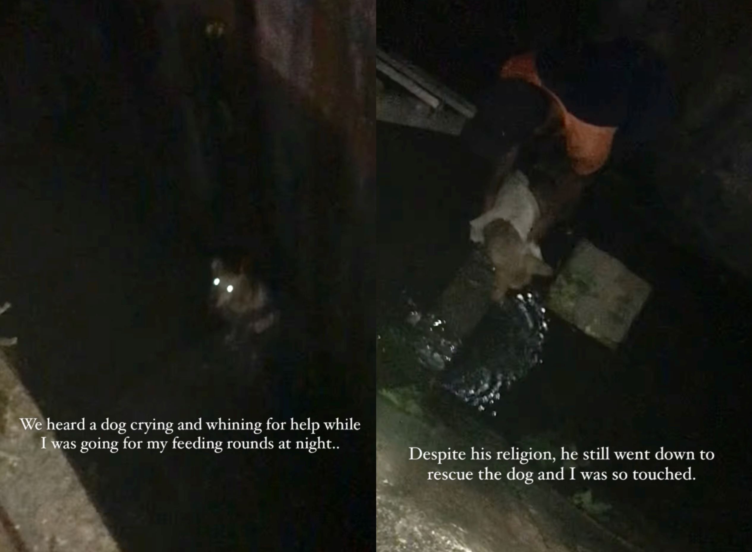 so kind! malaysians thank compassionate abang who saved stray dog that fell in deep, dark drain
