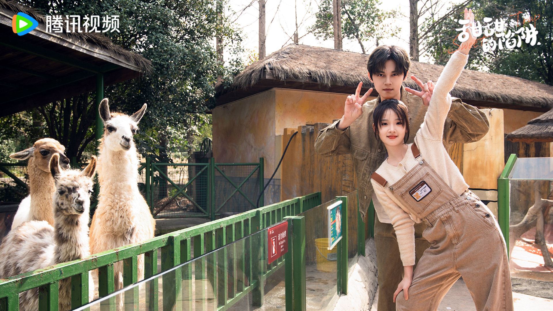 陆剧《甜甜的陷阱》热播中❗谢彬彬搭档张淼怡主演🔥