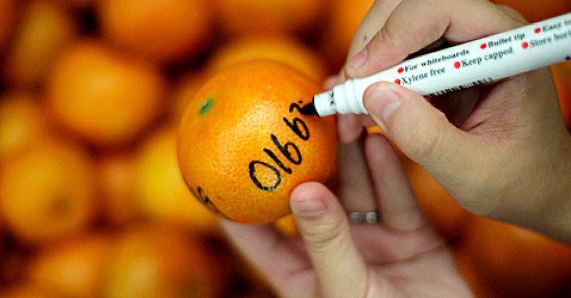 2月24日是元宵节！5个必知的「抛柑攻略」包你脱单！