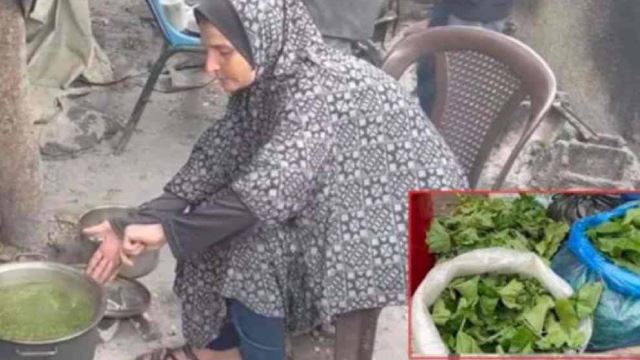 rakyat gaza kelaparan, terpaksa makan rumpai