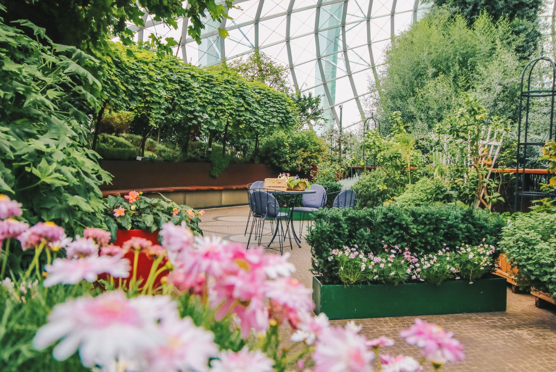 taylor swift concert guide: fan chants, travel tips, and must-knows for the ultimate experience!