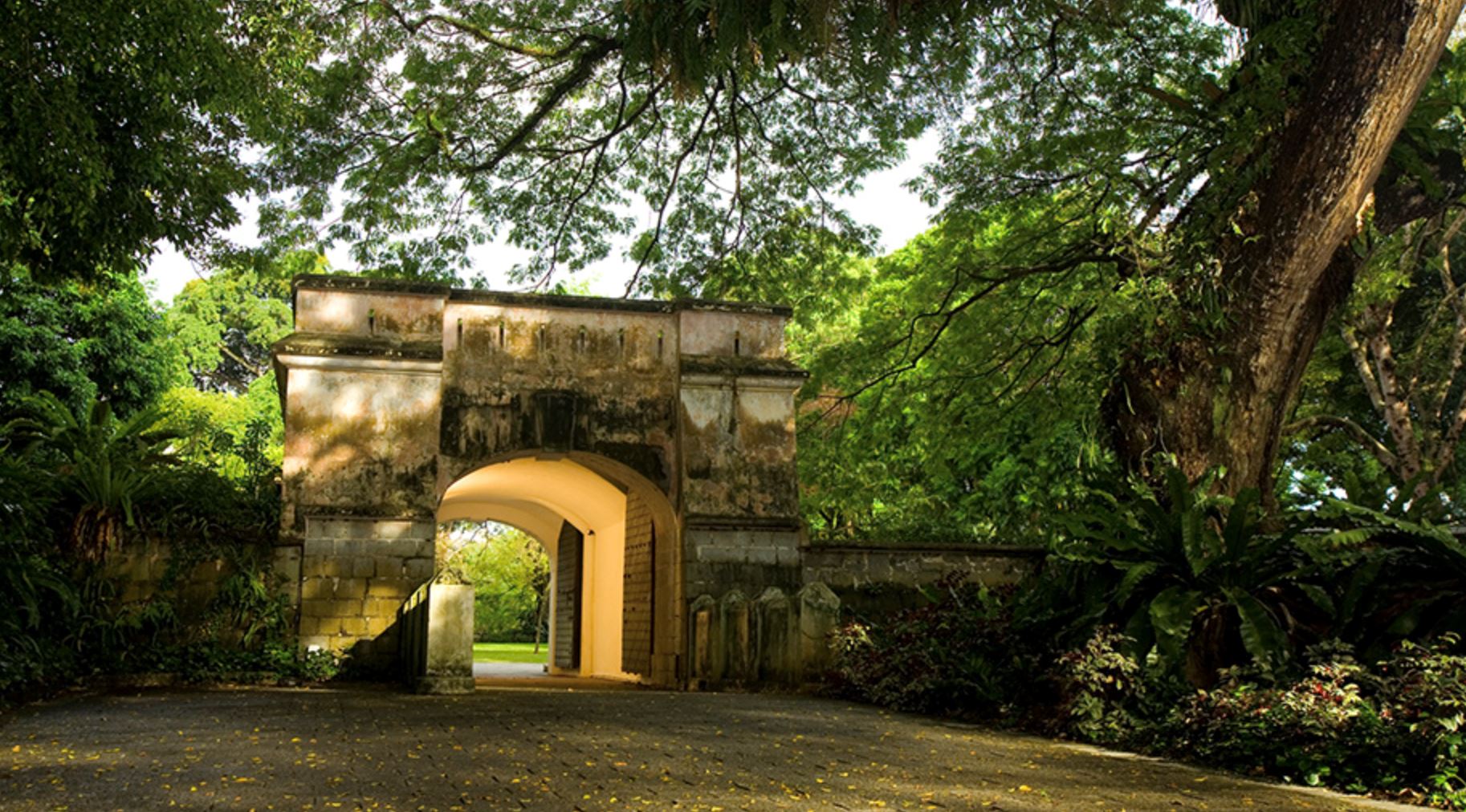 taylor swift concert guide: fan chants, travel tips, and must-knows for the ultimate experience!