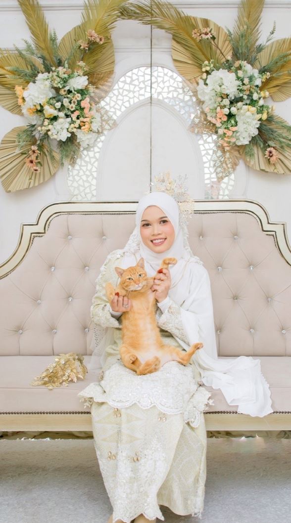 heartwarming! malaysian vet captures hearts posing with oyen for photos at her wedding