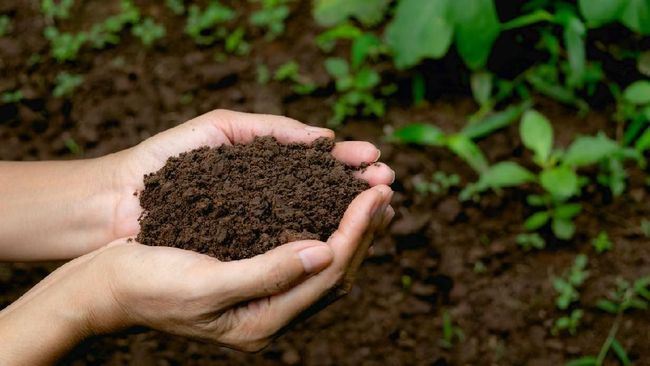 tanah kubur masih ‘fresh’ dijual online cecah harga rm390, ramai dah beli!