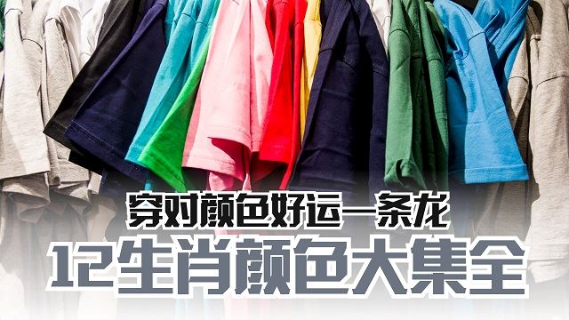 12生肖颜色大集合