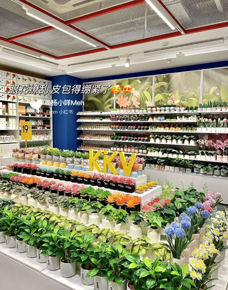 🇲🇾全马首家kkv！超好逛！玩具、文具、家居、衣服...