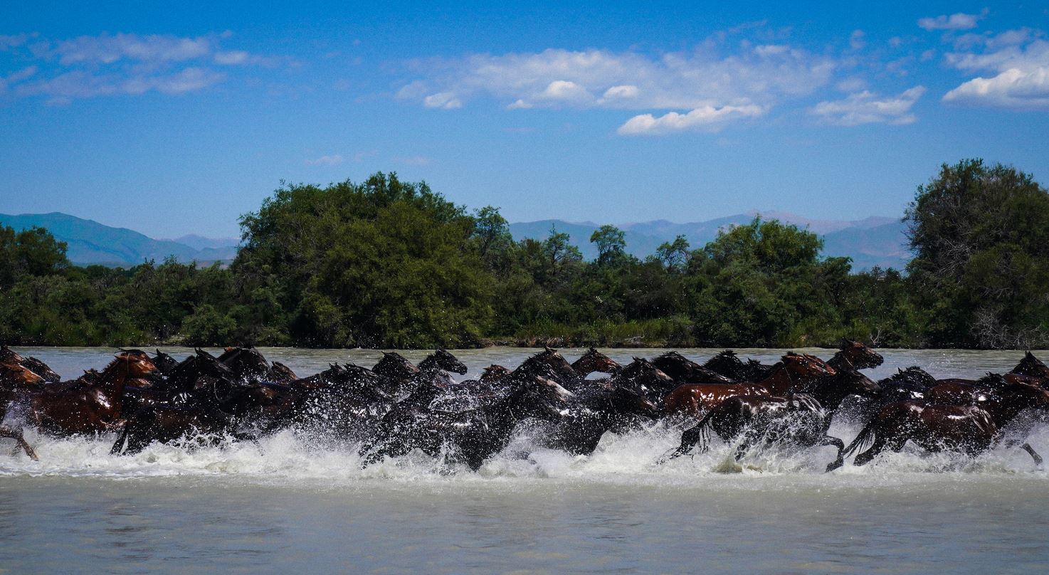 🎬电影《传说》定档8月1日❗张艺兴、娜扎、李治廷真打真摔⚡️