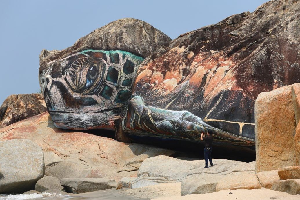 海滩岩石变身巨型海龟❗就在关丹丹绒柏灵栋海滩🌊