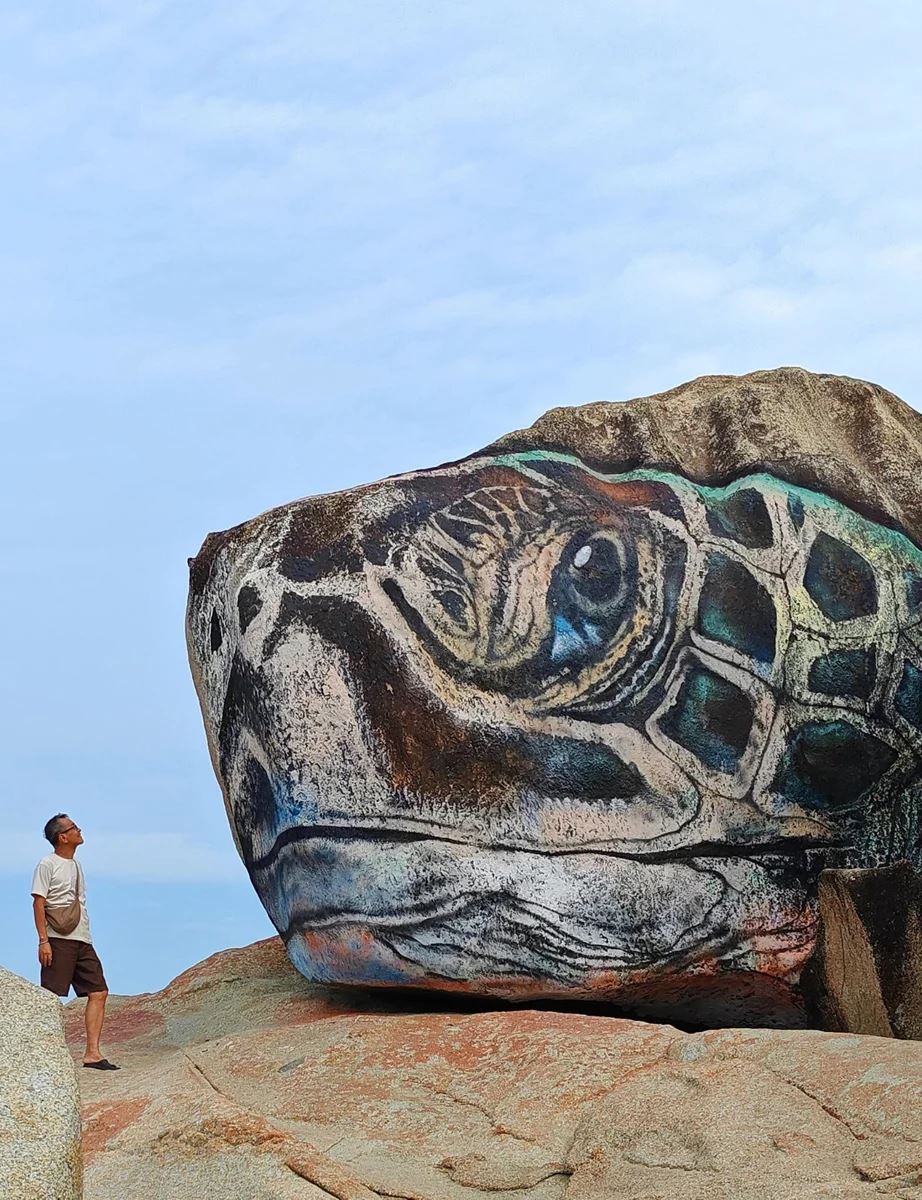 海滩岩石变身巨型海龟❗就在关丹丹绒柏灵栋海滩🌊