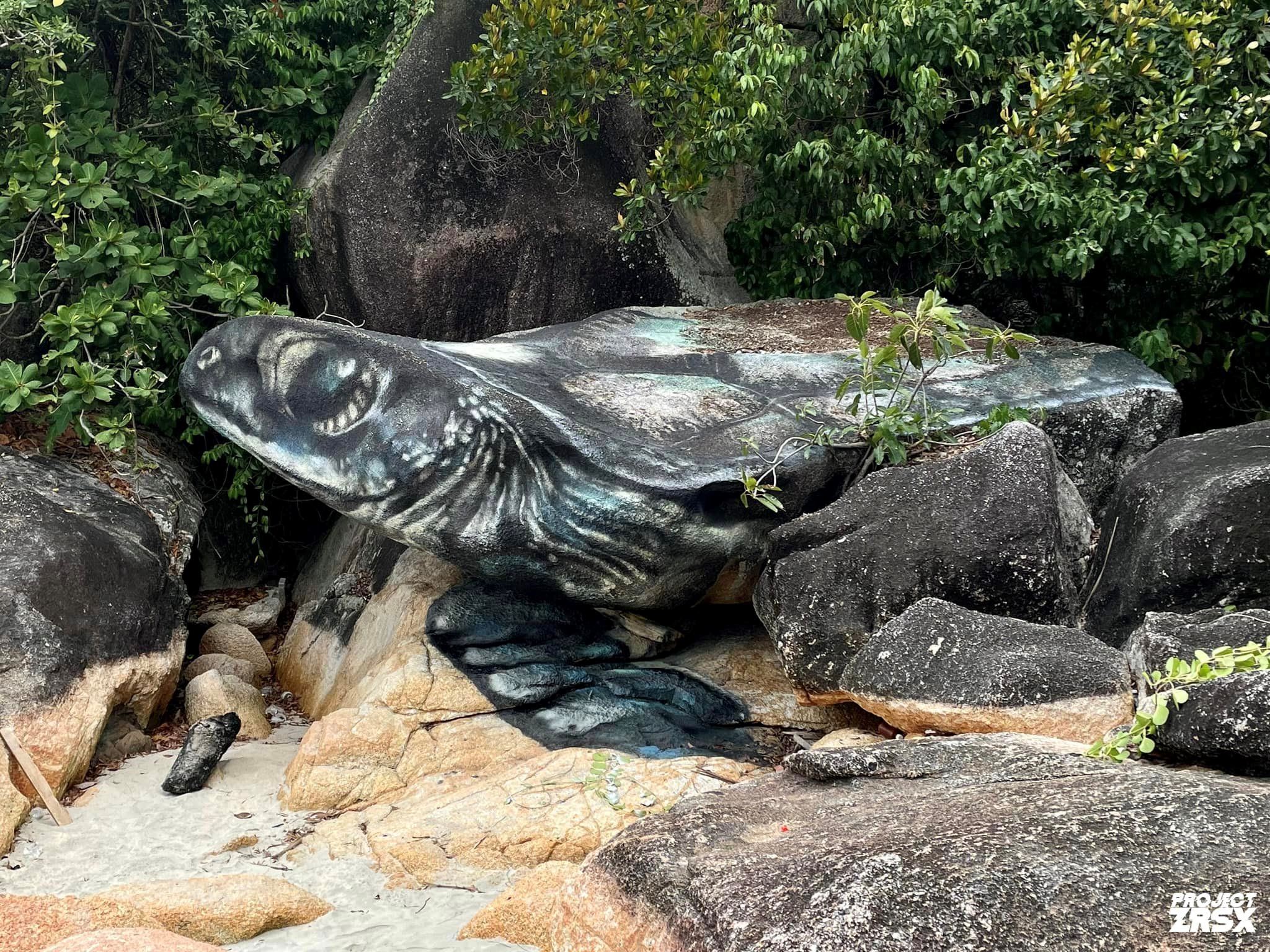 海滩岩石变身巨型海龟❗就在关丹丹绒柏灵栋海滩🌊