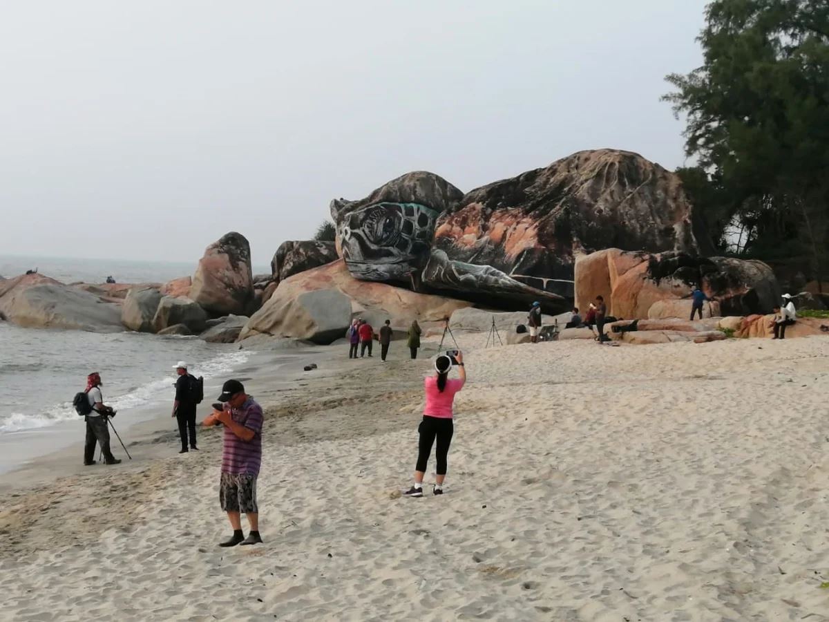 海滩岩石变身巨型海龟❗就在关丹丹绒柏灵栋海滩🌊