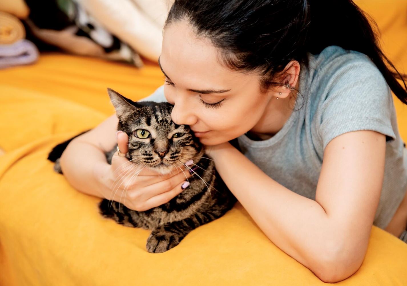 kurangkan rasa sunyi, rupanya bela kucing adalah terapi yang baik untuk mental