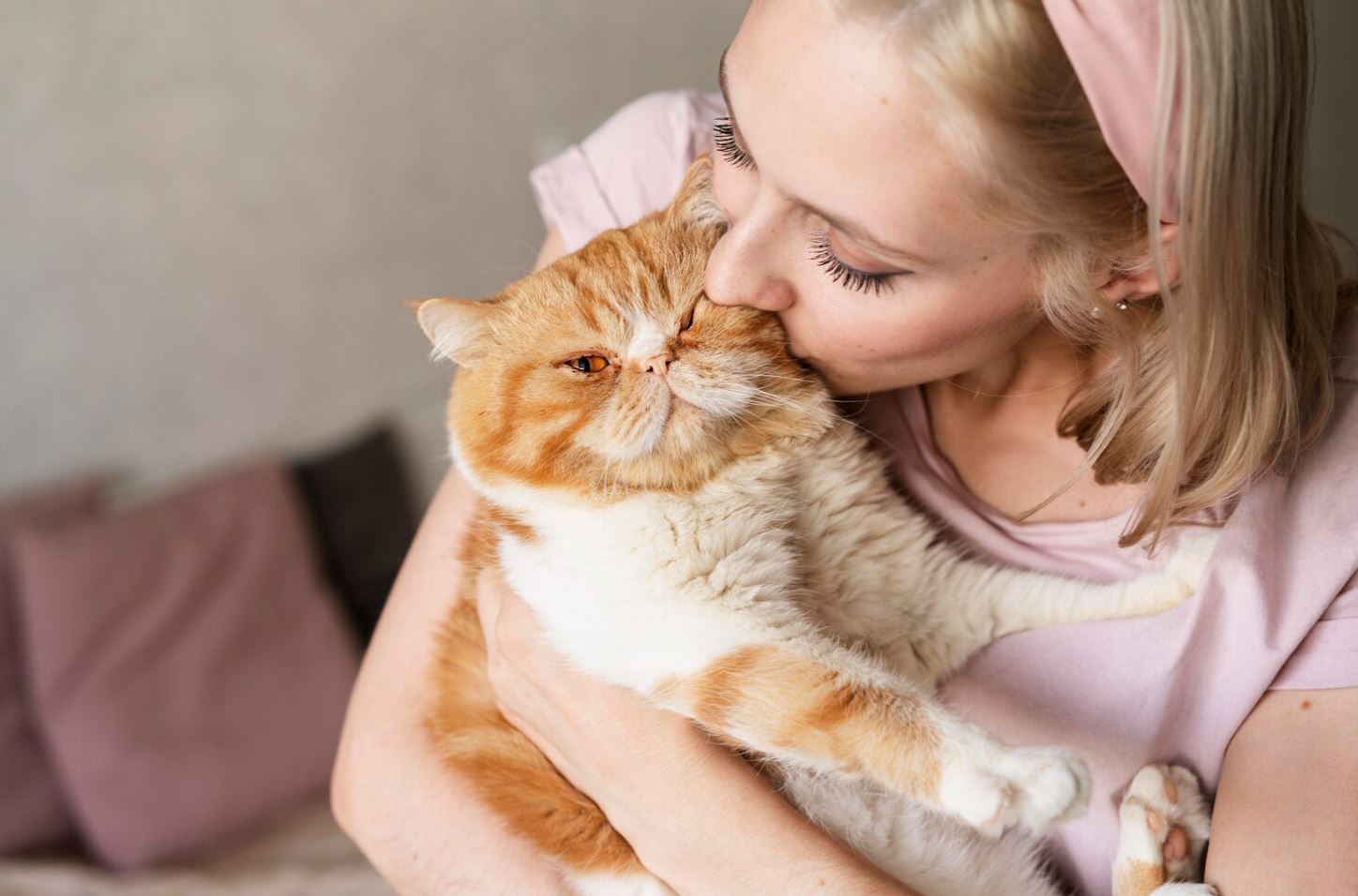 kurangkan rasa sunyi, rupanya bela kucing adalah terapi yang baik untuk mental
